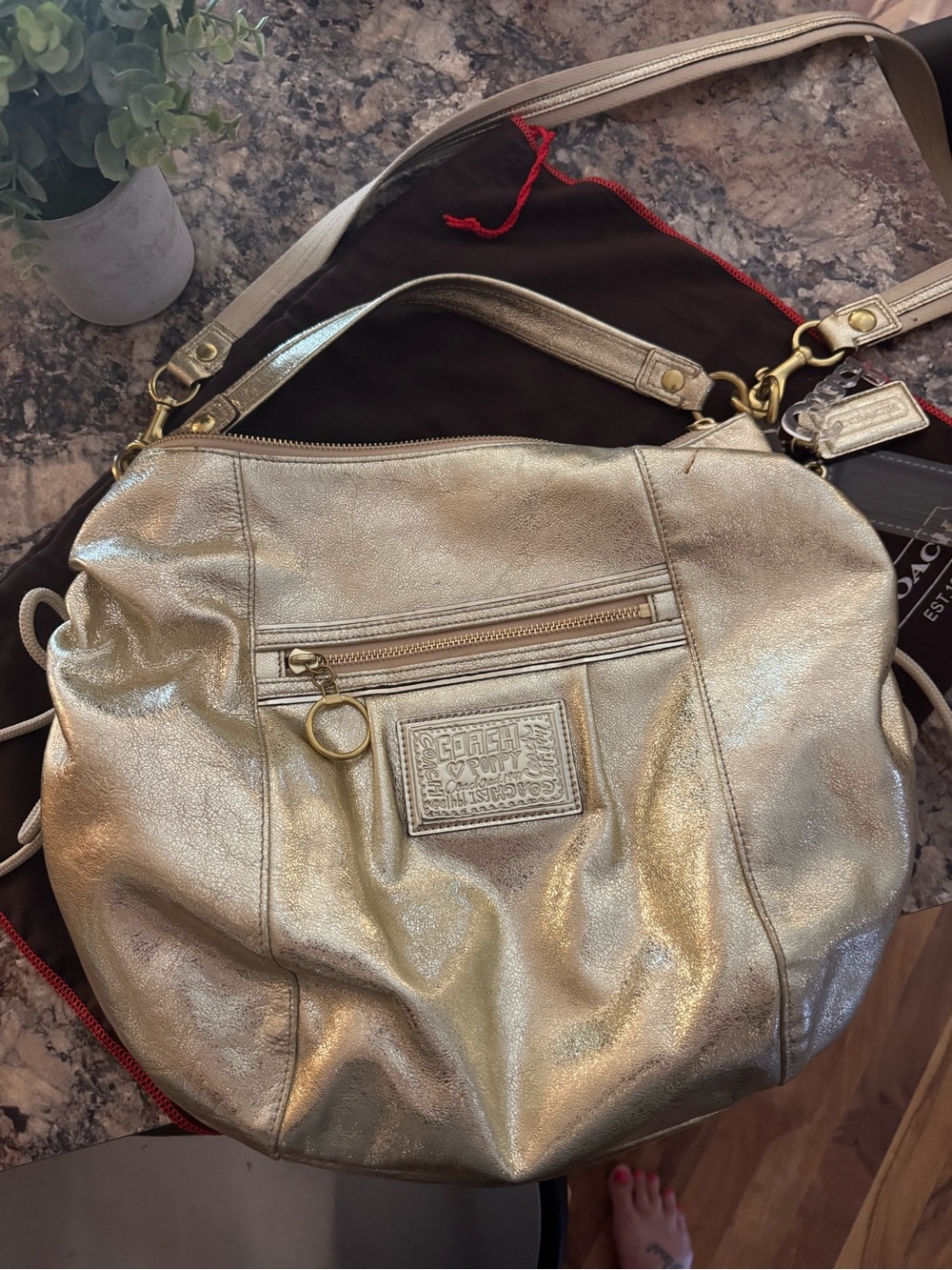 Coach Metallic Gold Crossbody Shoulder Bag